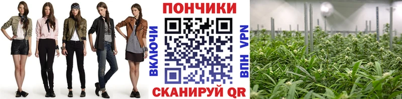 купить наркоту  Куйбышев  мега онион  Каннабис VHQ 